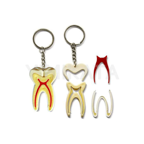 Consumibles dentales, material dental, clinica dental, dentista,